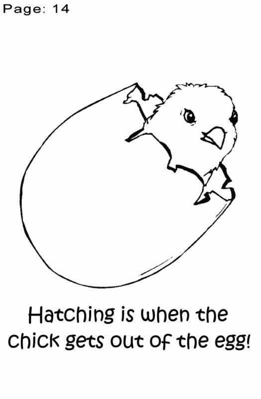 Цыпленок в скорлупе раскраска