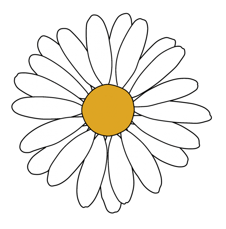 Подсолнух. Раскраска