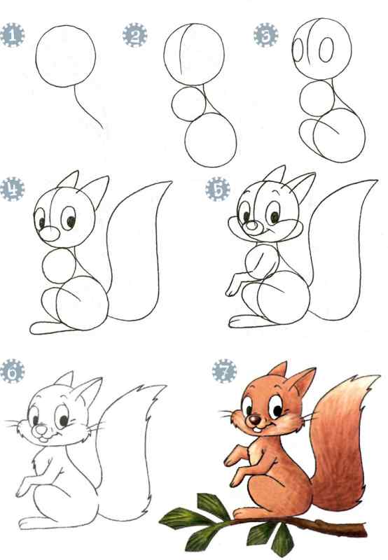 Рисунки поэтапно