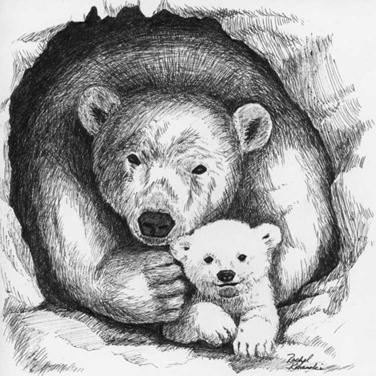 Медведь рисунок