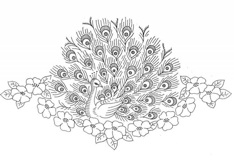 Павлин эскиз