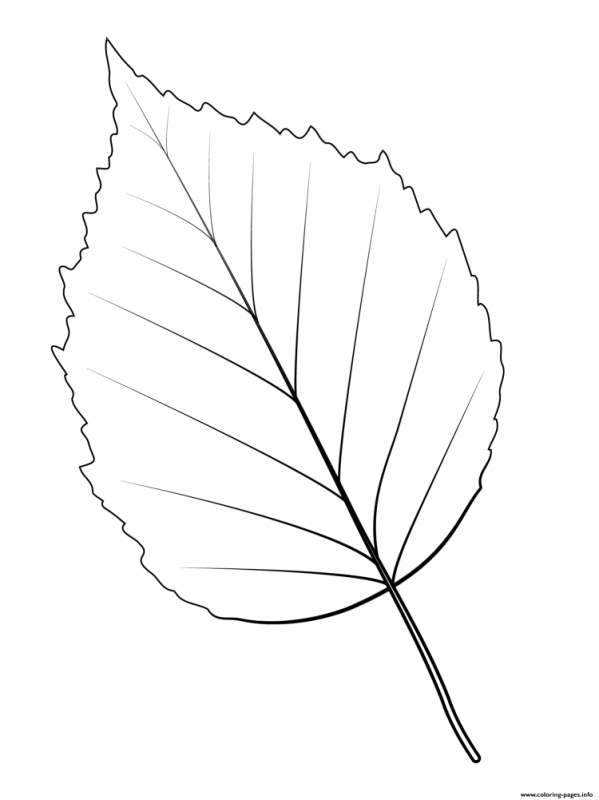 Трафареты осенних листьев