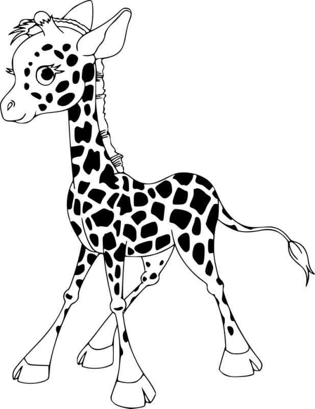 Раскраски жирафа для детей