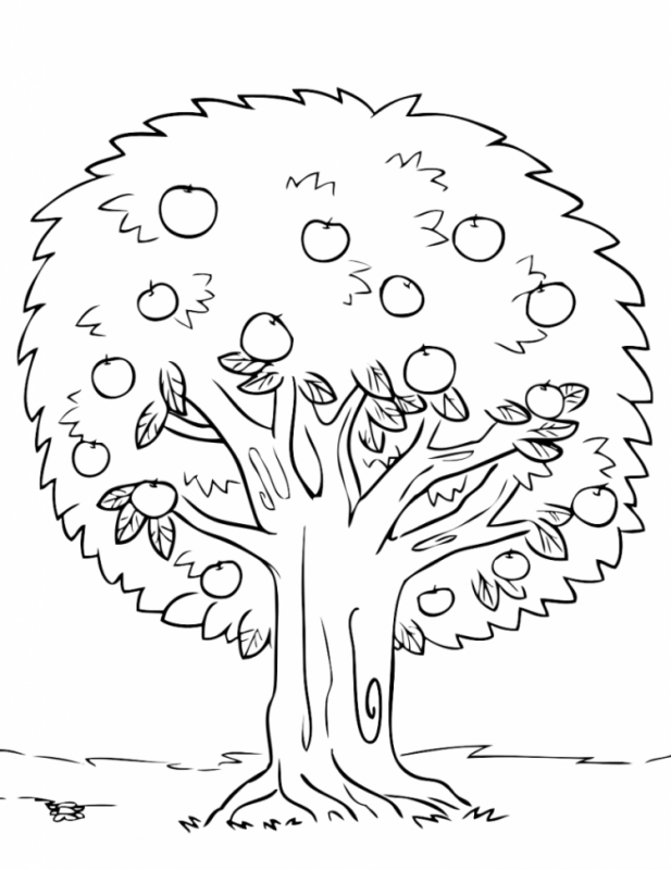 Дерево раскраска для малышей