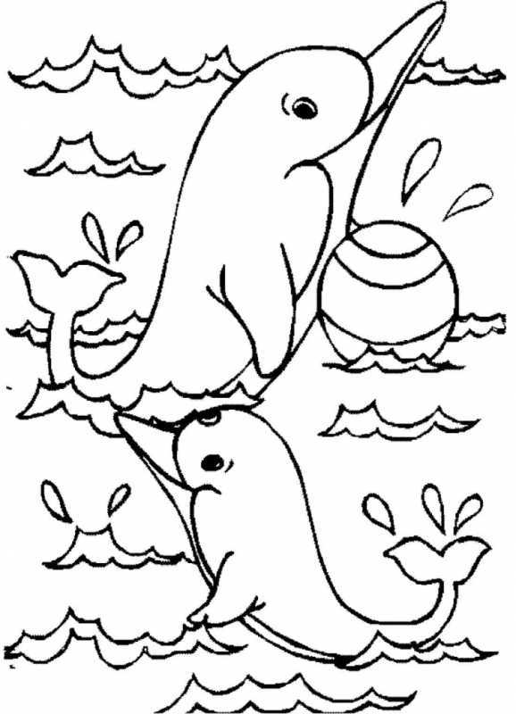 Трафарет дельфина для рисования