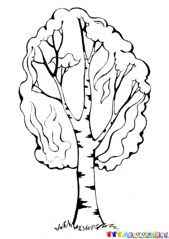 Осеннее дерево раскраска
