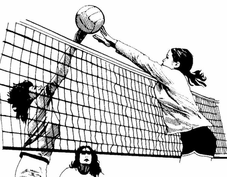 Летние виды спорта раскраски для детей