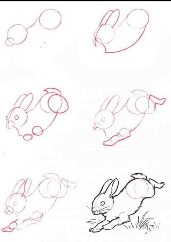 Как нарисовать зайца поэтапно