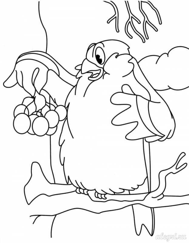 Раскраска синичка для малышей