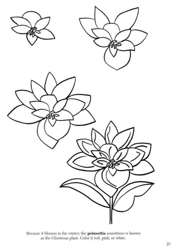 Раскраски для детей 3-4