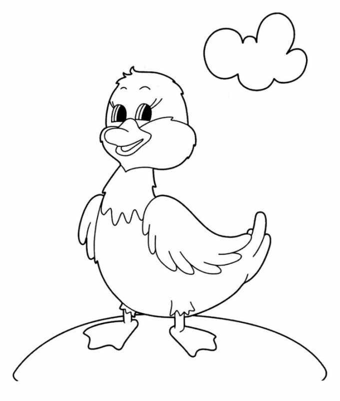 Раскраска утка с ведром