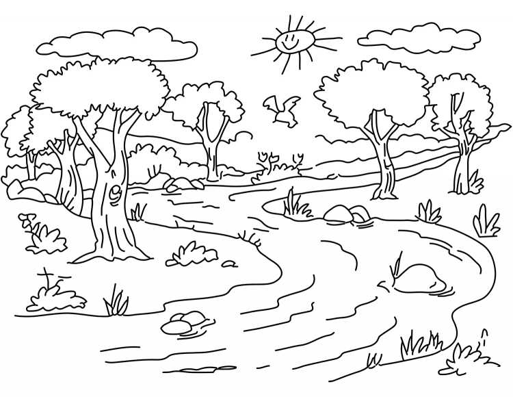 Раскраска природа