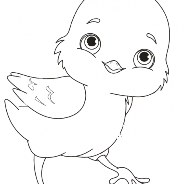 Цыпленок и утенок раскраска