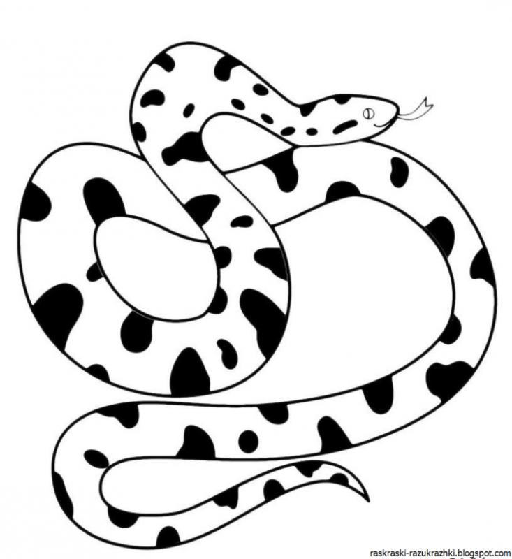 Змея раскраска
