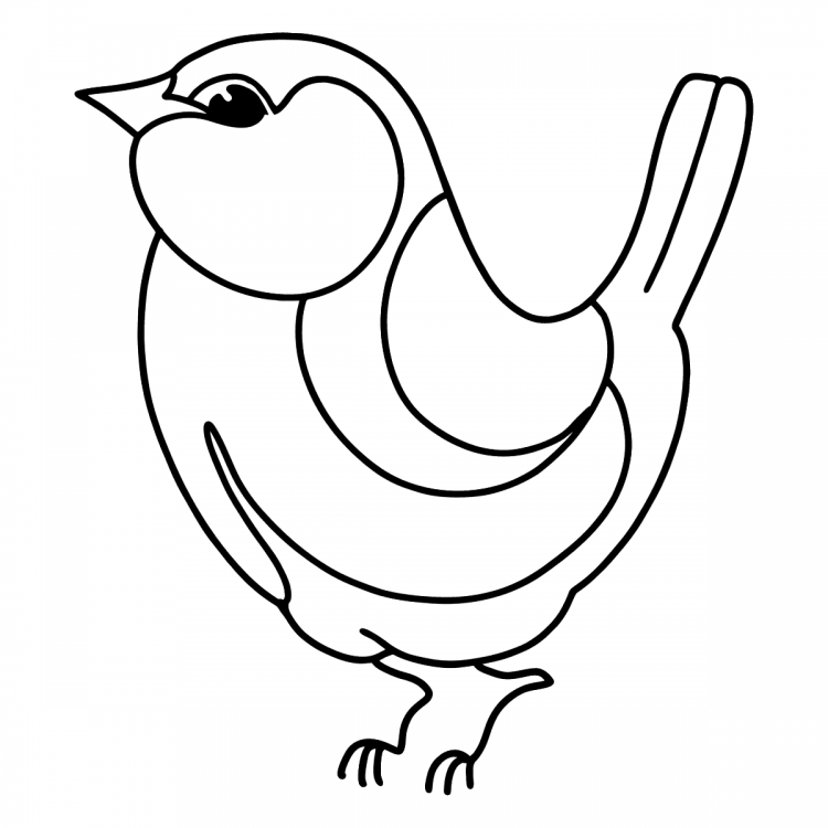 Раскраска синичка для детей 4-5 лет