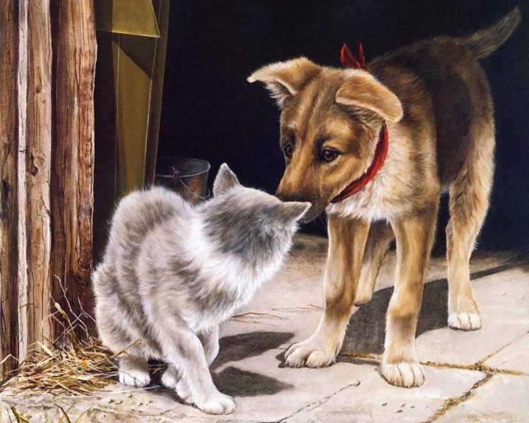 Бездомная собака живопись