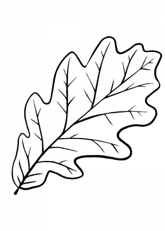 Листья раскрасить