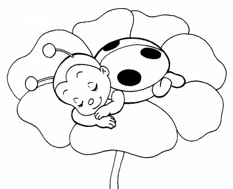 Божья коровка на ромашке раскраска