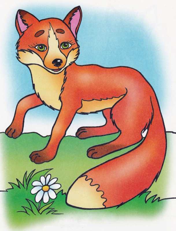 Раскраска Лисичка
