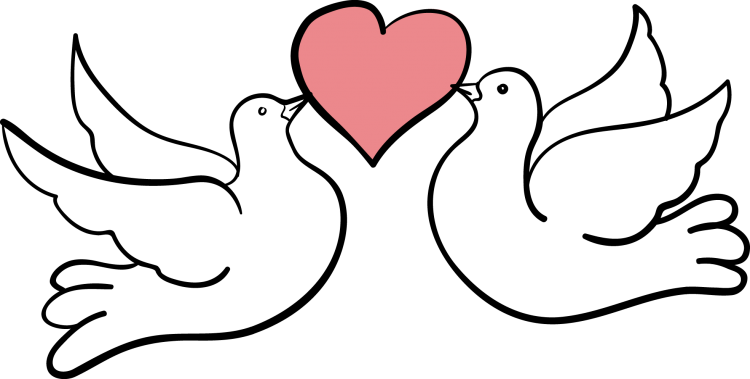 Голуби с веточкой в клюве трафарет