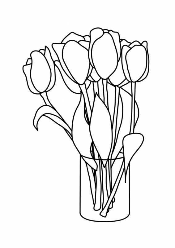 Тюльпан раскраска