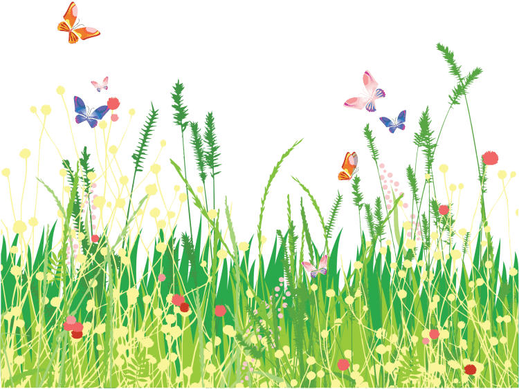 Трава с цветами на прозрачном фоне