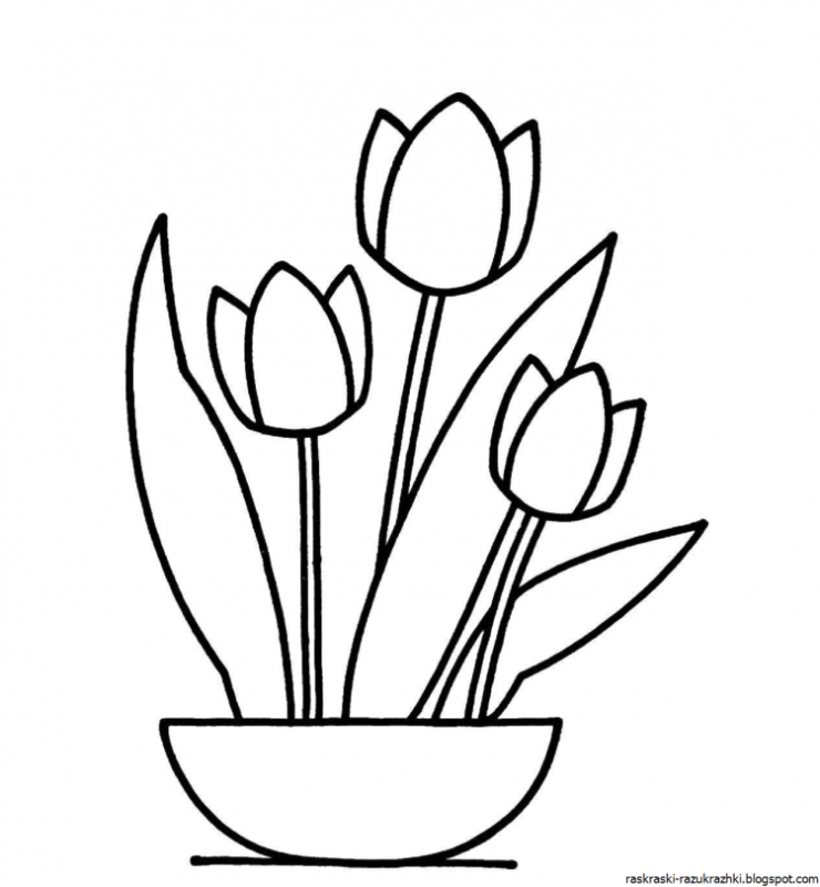 Рисование карандашами тюльпаны