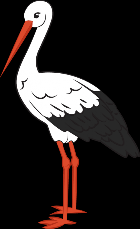 Аист с мешочком в клюве