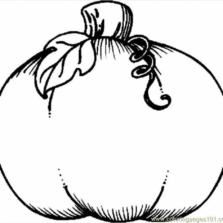Осенняя тыква раскраска