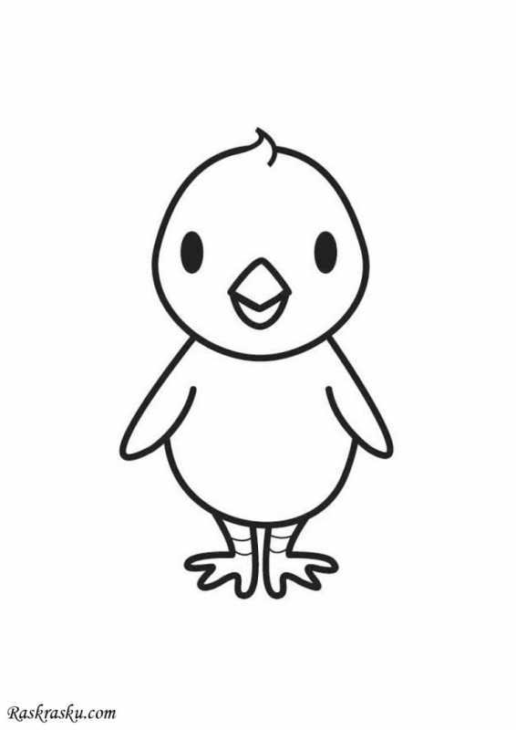 Цыпленок контурная