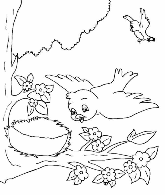 Раскраска природа