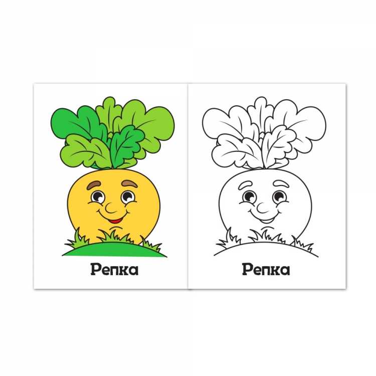 Свекла раскраска для детей