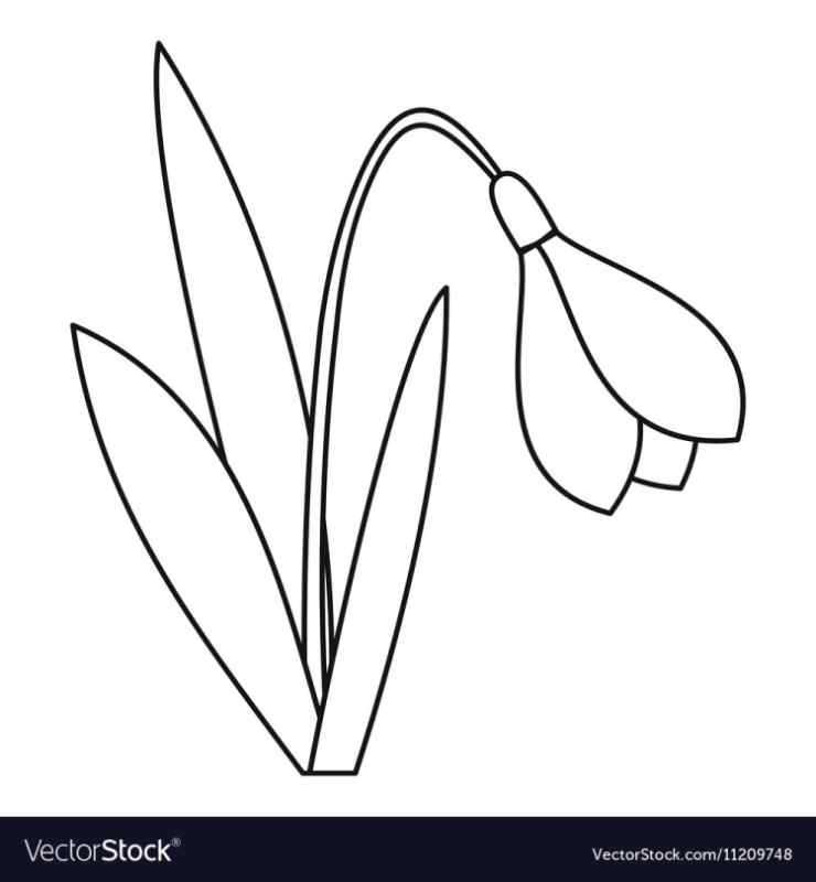 Подснежники на прозрачном фоне