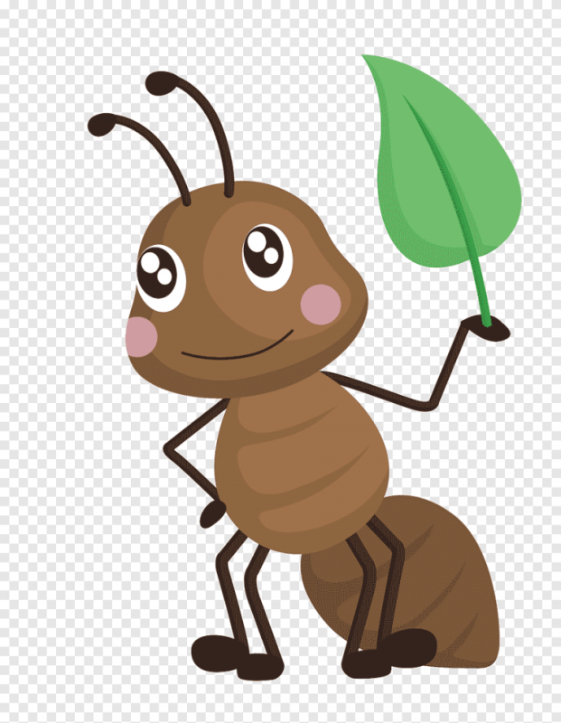 Мультяшные насекомые