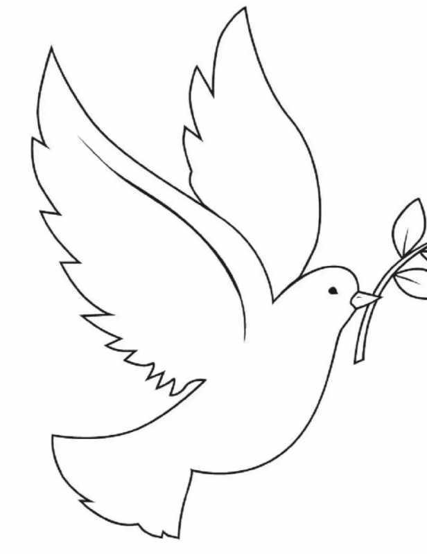 Голубь мира с веткой