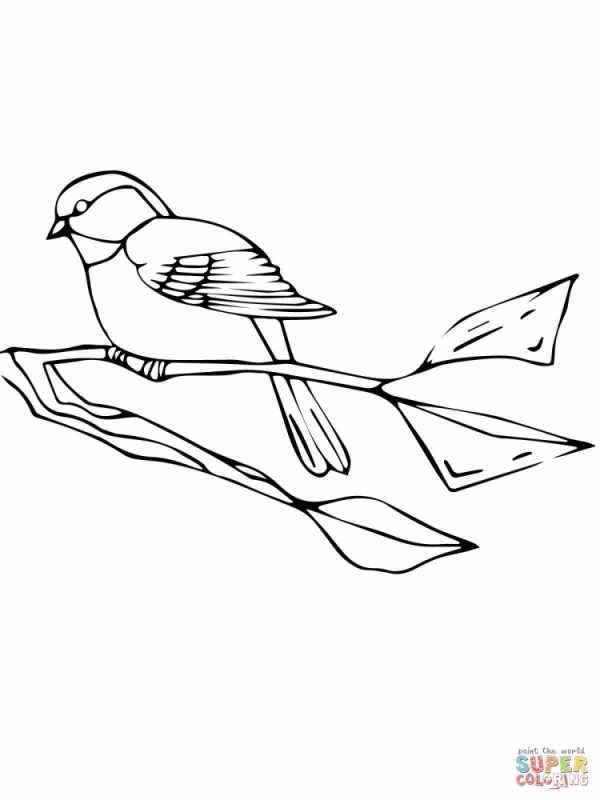 Птицы по точкам Снегирь