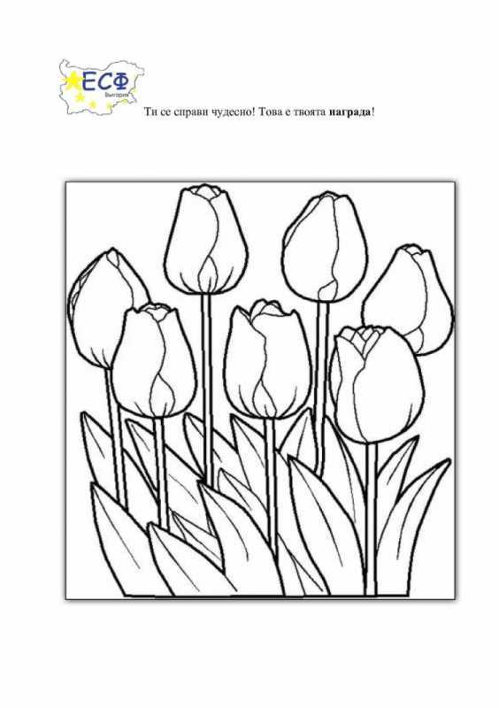 Раскраска Лотос цветок