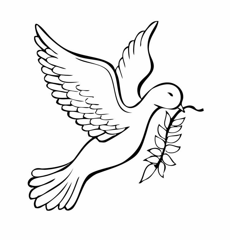 Голубь раскраска для детей