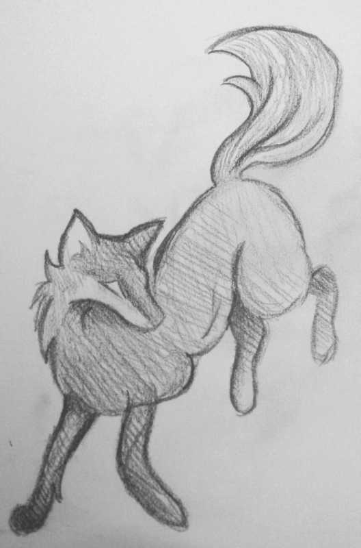 Животные карандашом легко