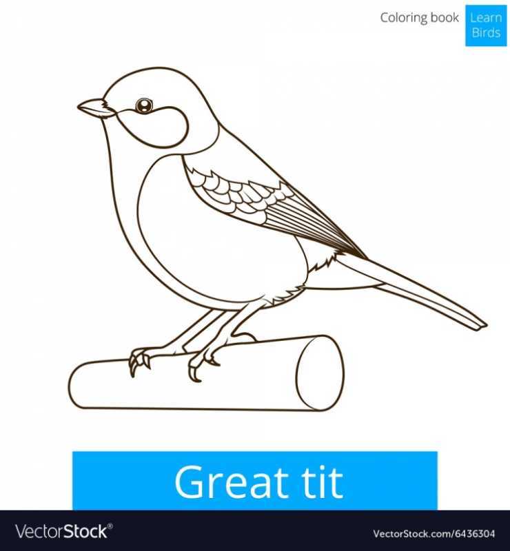 Птица синица раскраска для детей