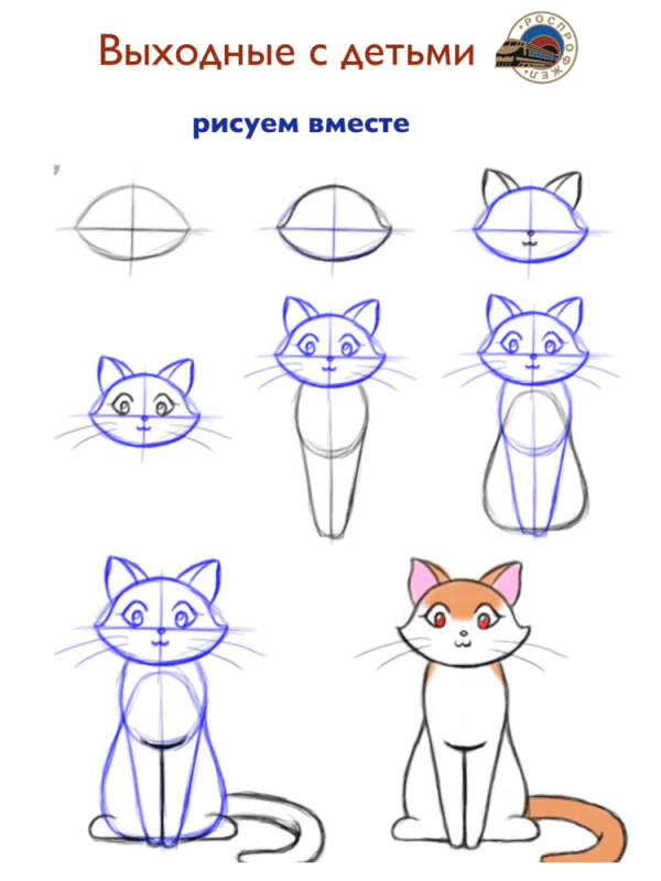 Лёгкие рисунки для срисовки кошки