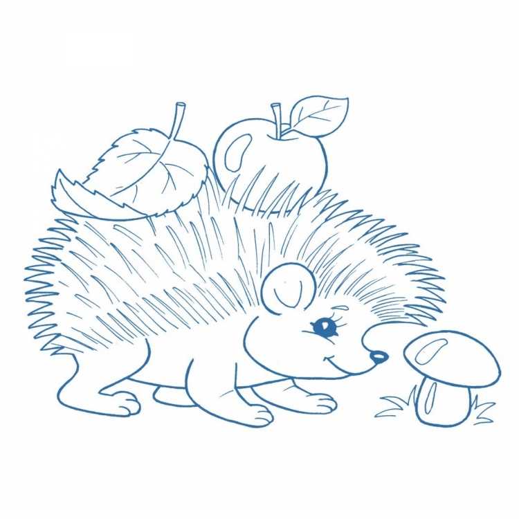 Ёжик раскраска для детей