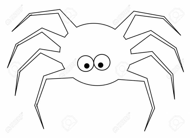 Эскизы тату паук с паутиной