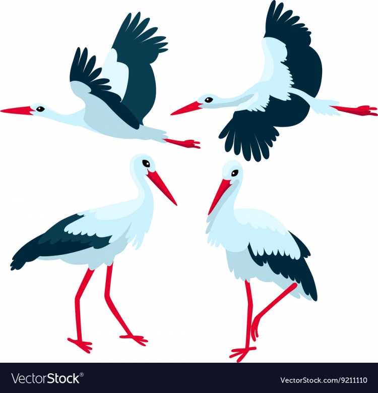 Аист мультяшный