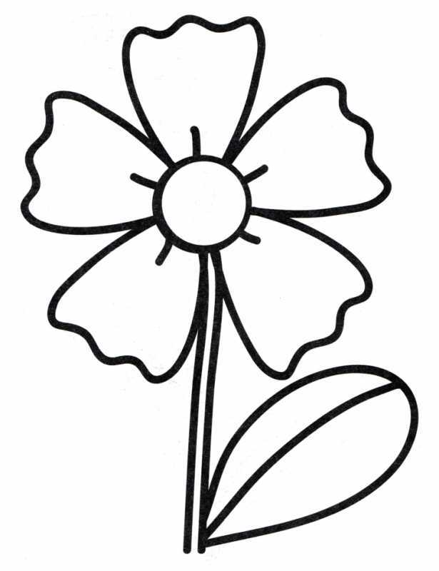 Ромашка разукрасить