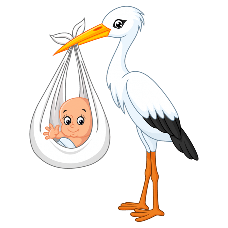 Аист с открытым клювом