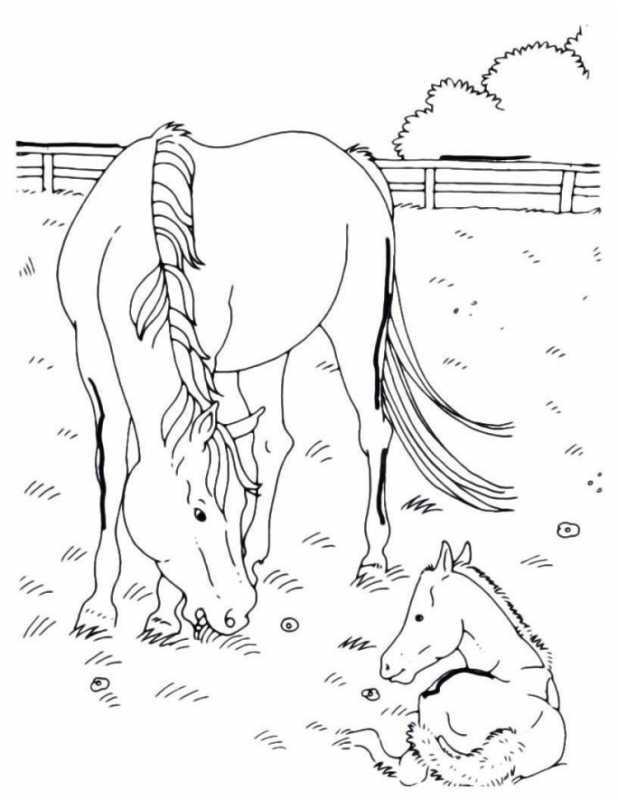 Раскраска для девочек животные красивые