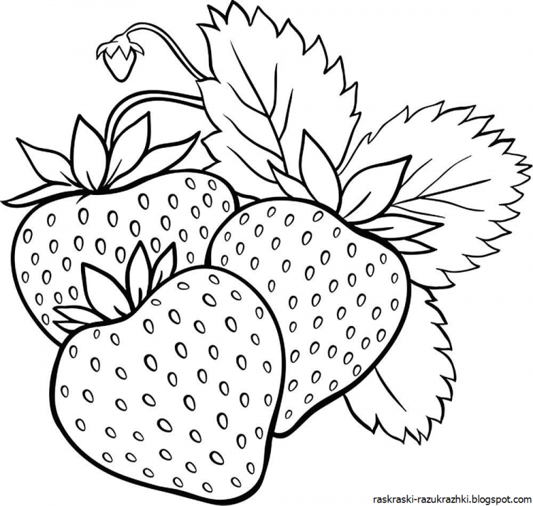 Раскраска "фрукты"