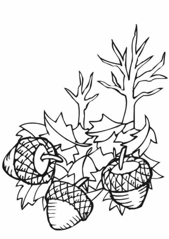 Осенние листья раскраска для детей