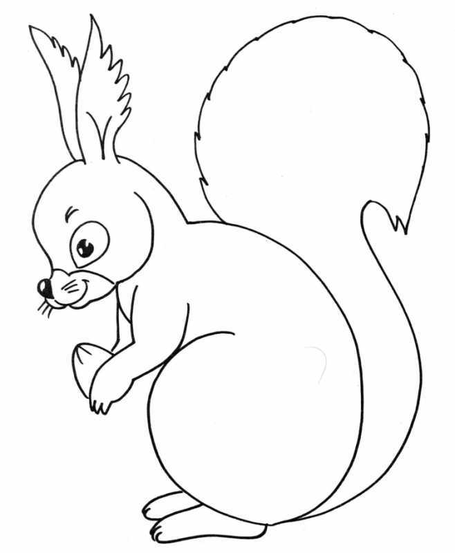 Белка с бельчатами раскраска для детей